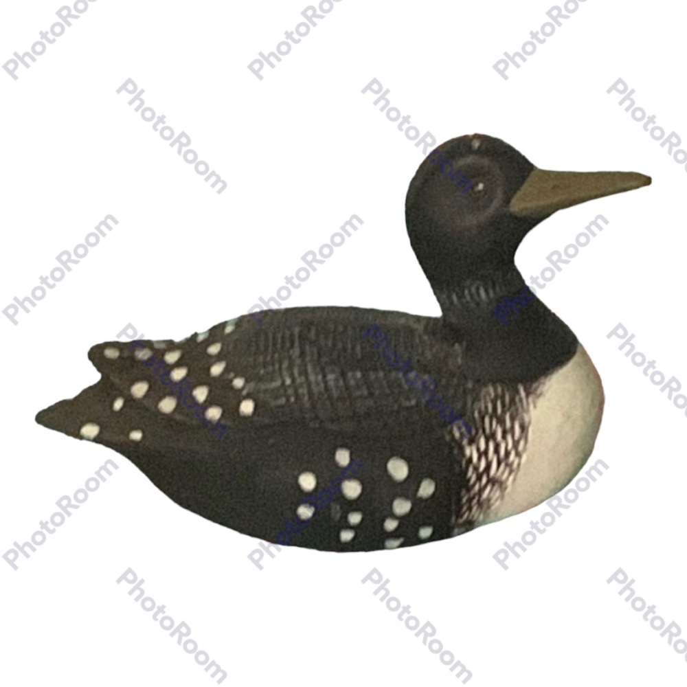 Handcrafted | Common Loon | Lennon Limited | Collectable